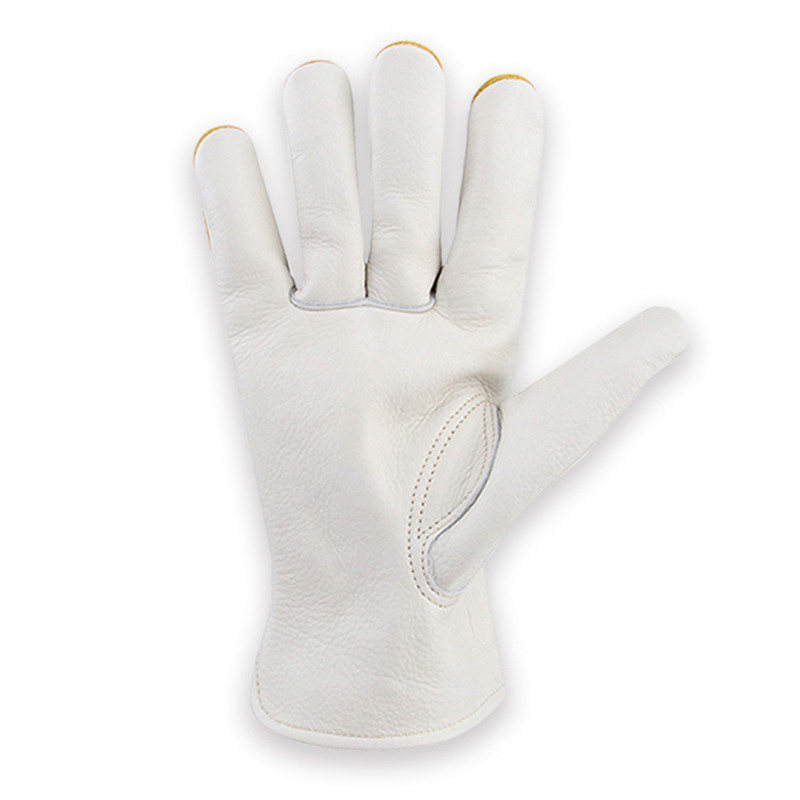 Caminhão respirável da prova d - Leather Driving Glove avaliação e preço